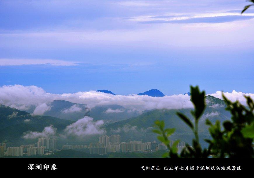 春雨直播app