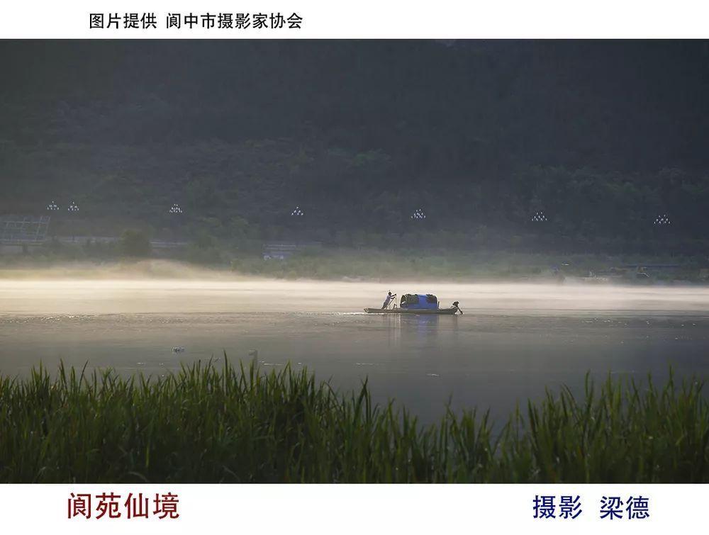 迷你淘气猪逃脱