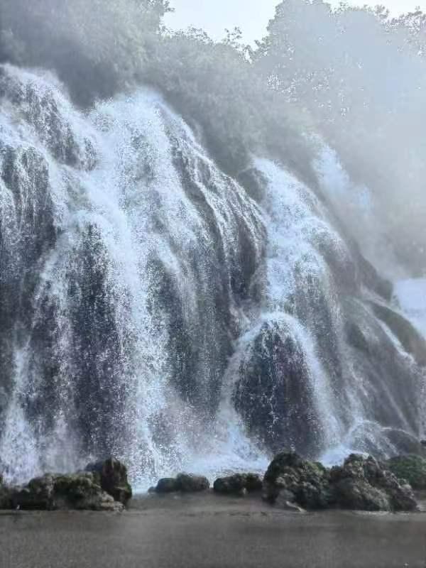 逃离泰莱森林