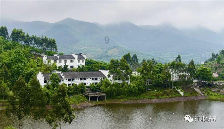 生化危机：启示录