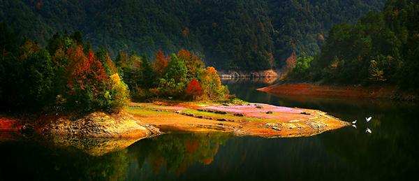 迷失在荒野