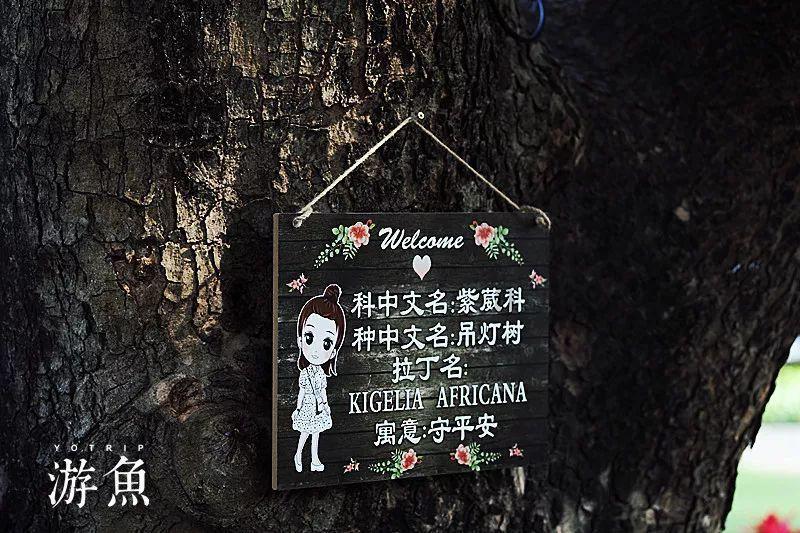 【梦想起航】中考失败？看落榜生如何圆大学梦！