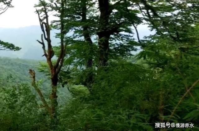 束口包