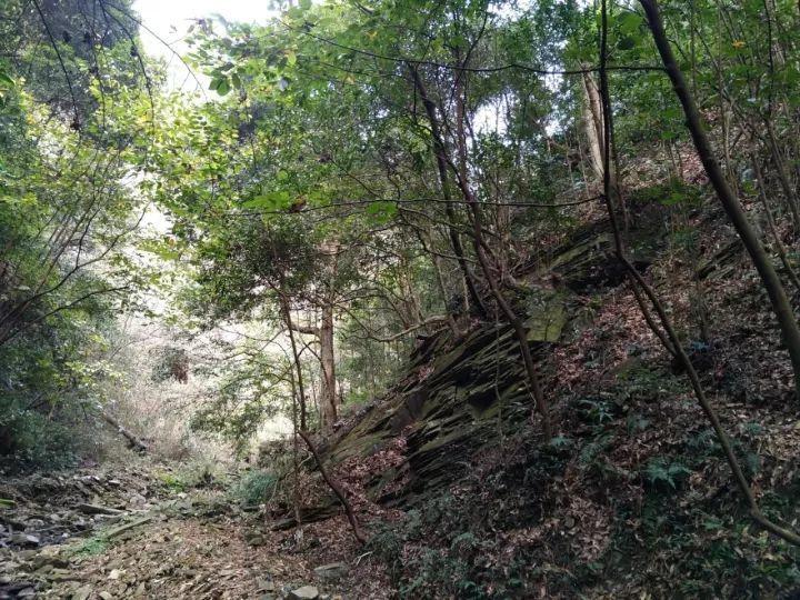 把这份“文化年货”装进回乡行囊