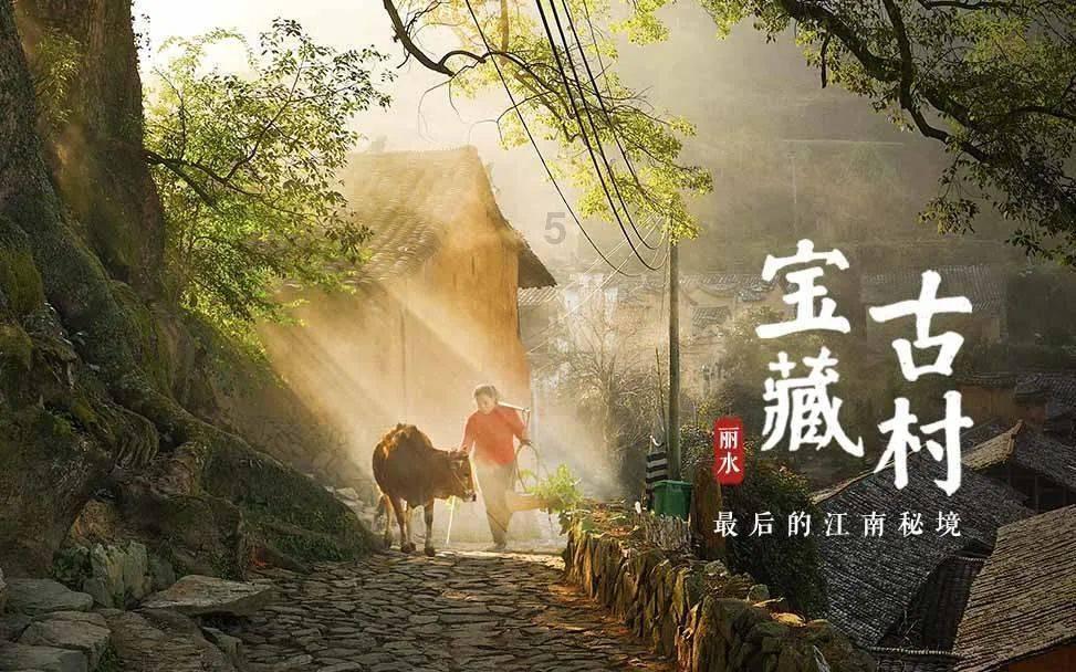 盘点白金大神跳舞的九本高口碑小说，书荒的读者可以了解一下！