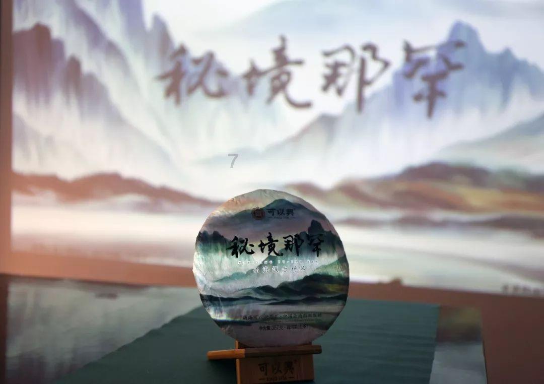 救援白色小猫