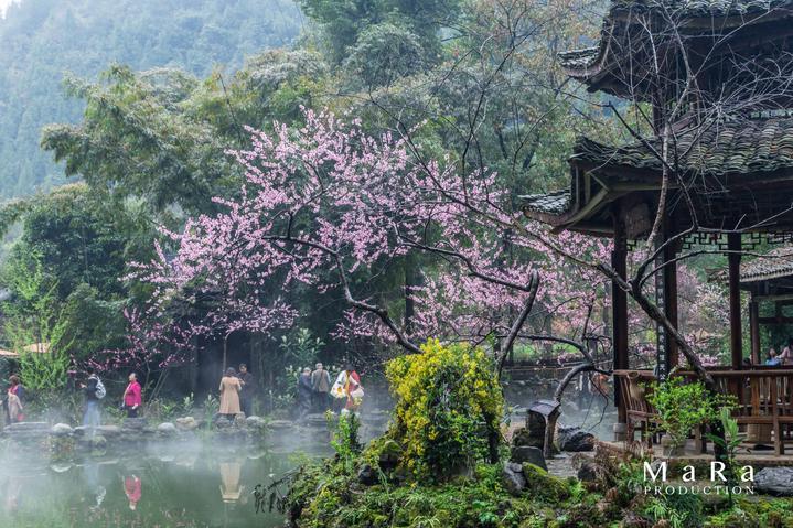 妙鸭相机app下载官网