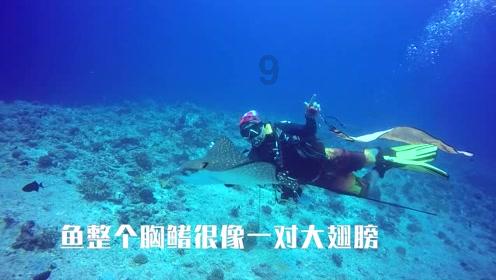 重庆养老金没到账打哪个电话查询?-全面解读疑问,专业问答平台