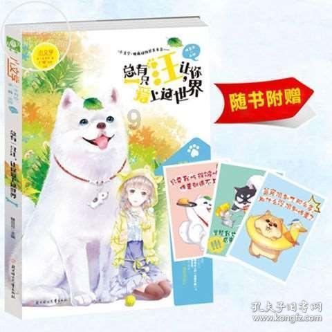 战斗机的反击