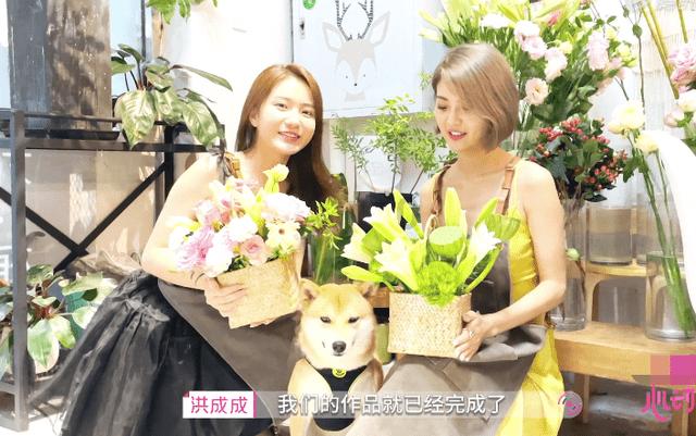 求所有Air Jordan绿色的鞋游戏画面