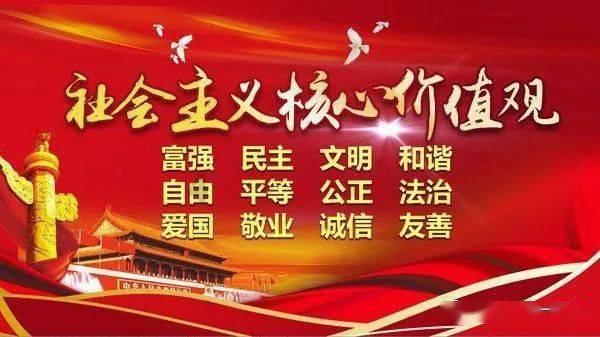 小鸡要回家