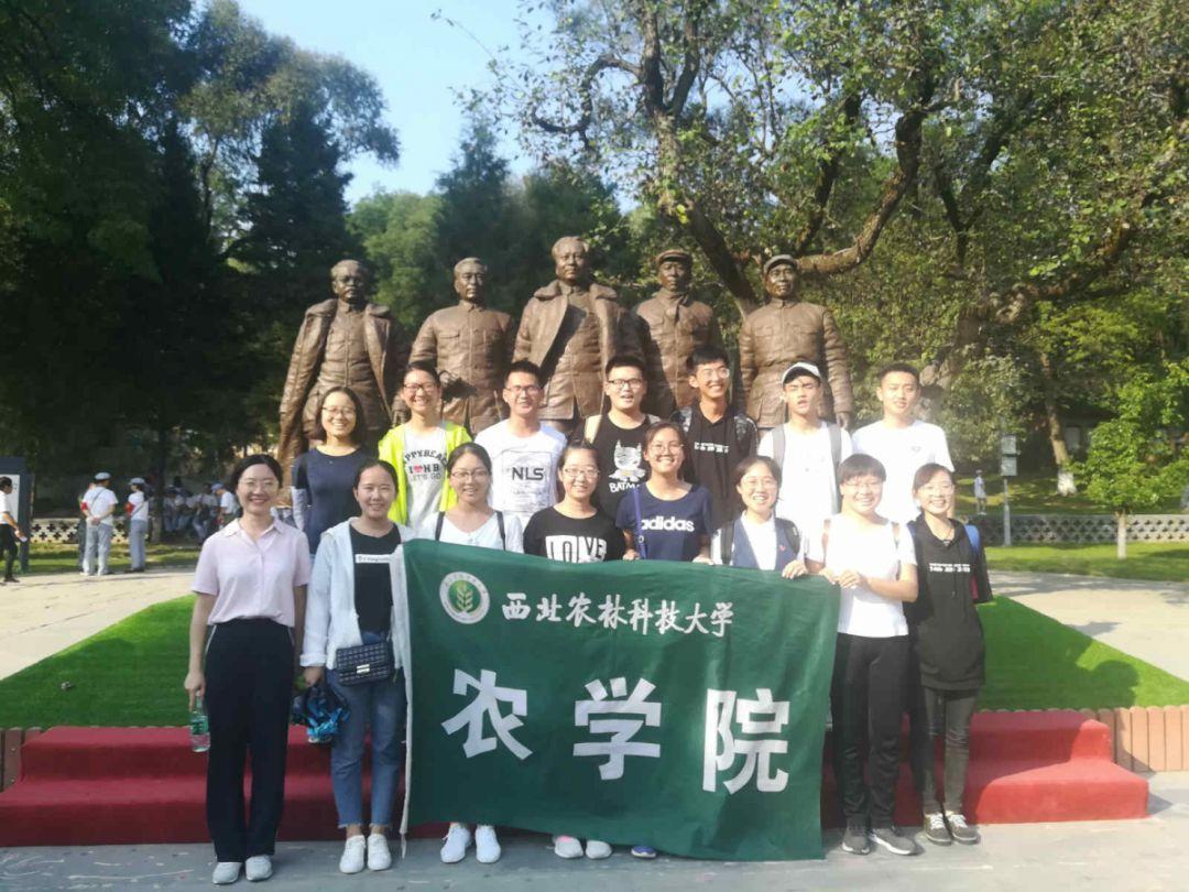 五篇评论，深度解码山东发展