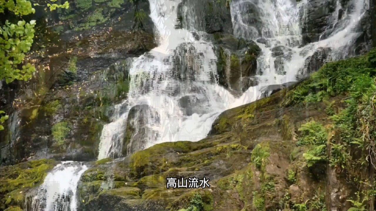 僵尸短跑