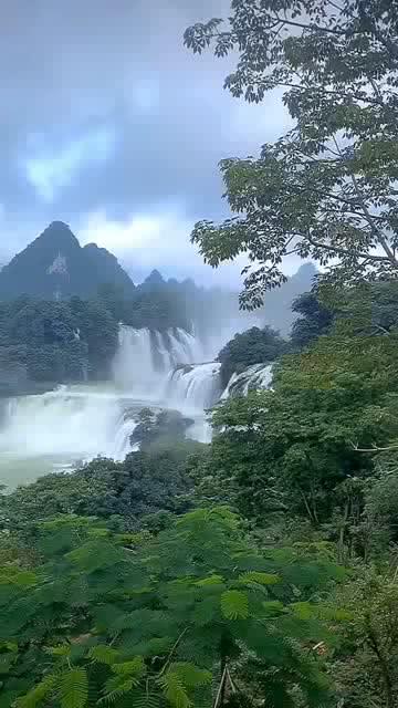 马云蔡崇信大幅增持！阿里巴巴确认了
