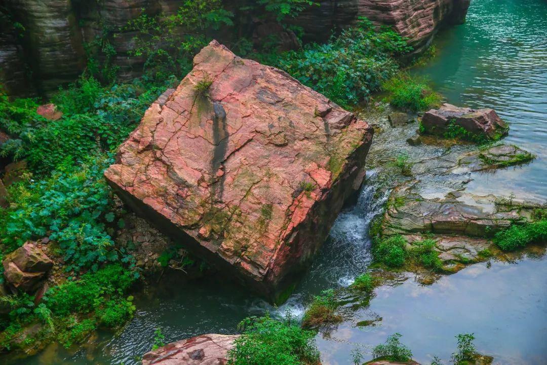 生化危机：启示录