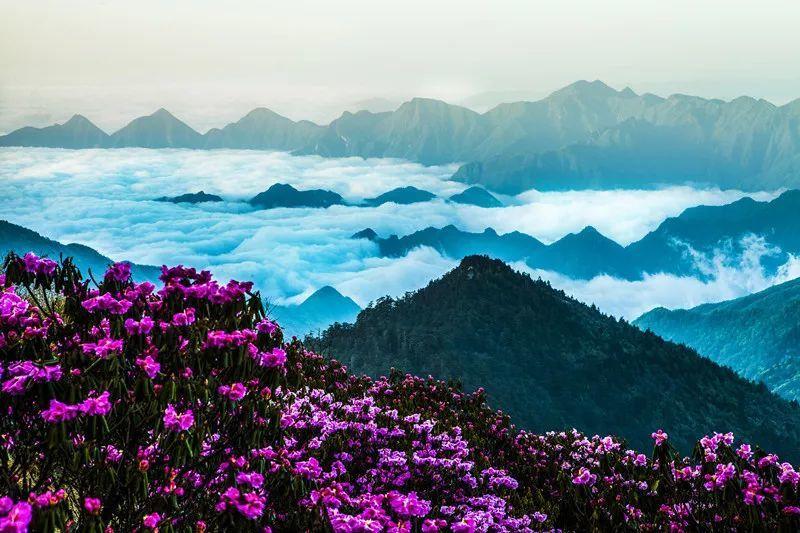 进击的城堡