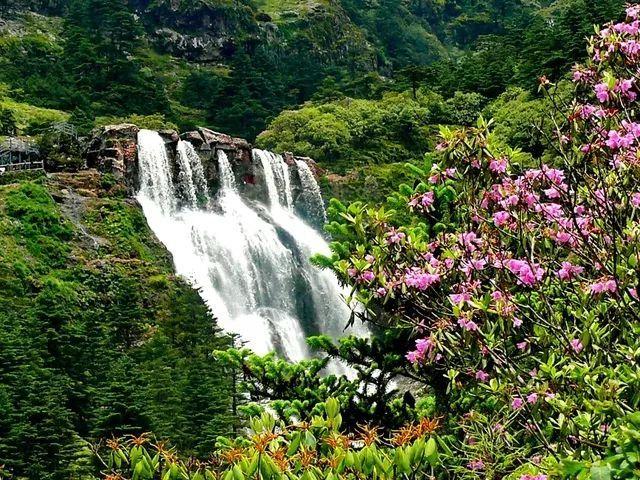 st新集停盘多久，7月11日停牌，几号复牌游戏画面