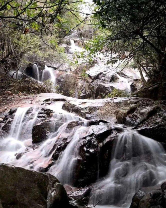 绿钻石进宝箱
