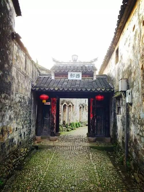 阿拉法特:曾发誓为了巴勒斯坦终身不娶,却沦陷于小34岁的苏哈