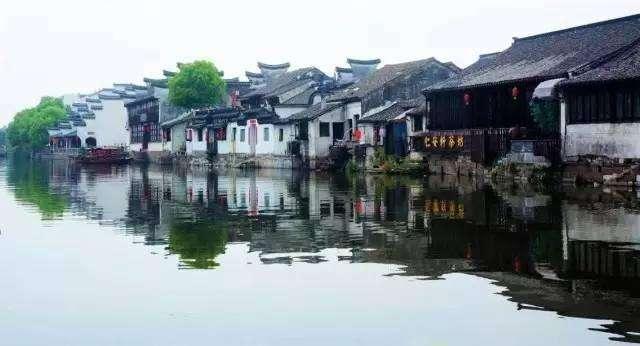 雨后盛放