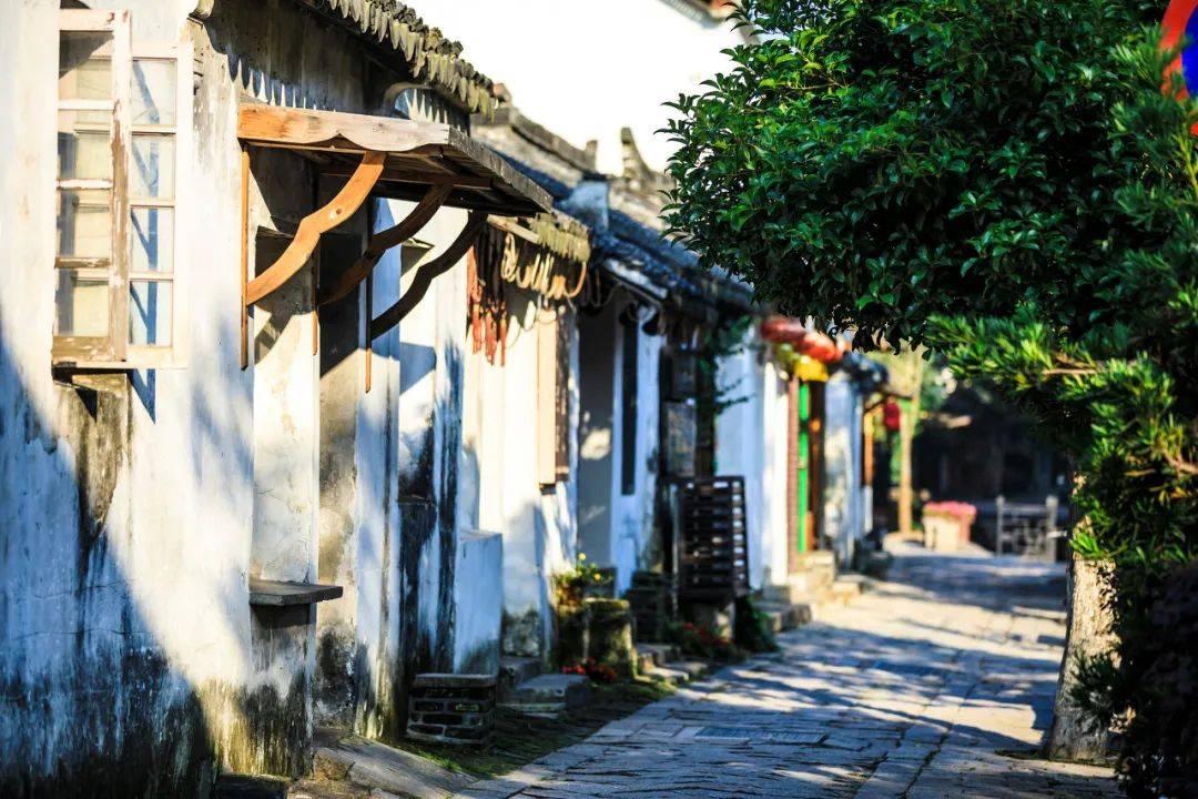 非遗传承人“指尖”上的年味儿,73岁白发奶奶现场剪纸引围观