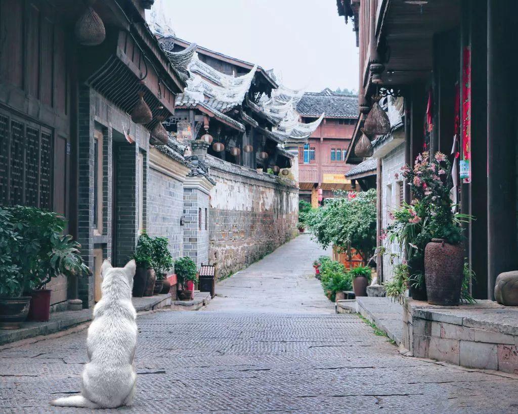 逗比英雄