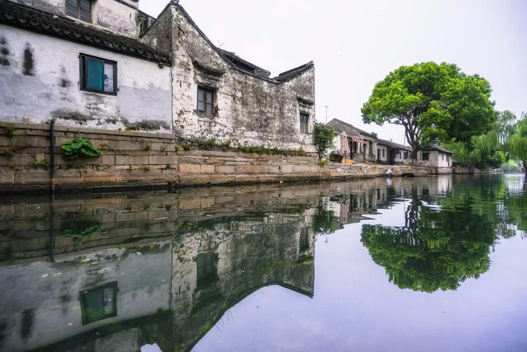 拯救米乐米可