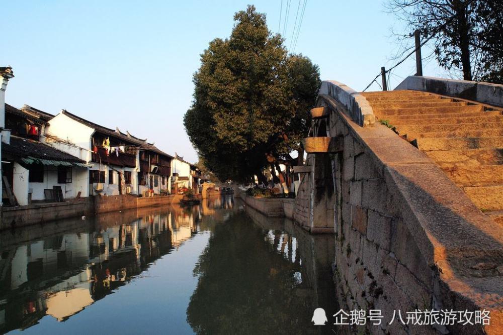 饥饿的松鼠救援