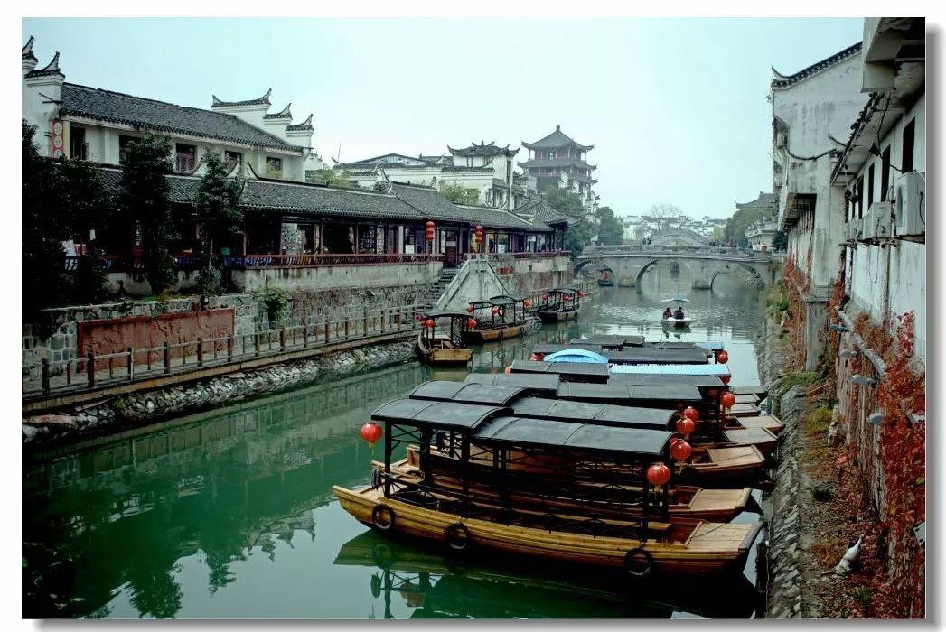 时尚小鸡救援