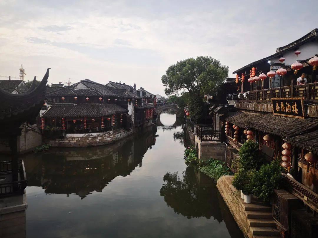 救援萌老虎