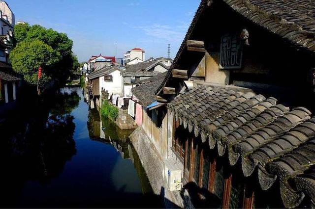 专家引领明方向 乘势而上开新篇