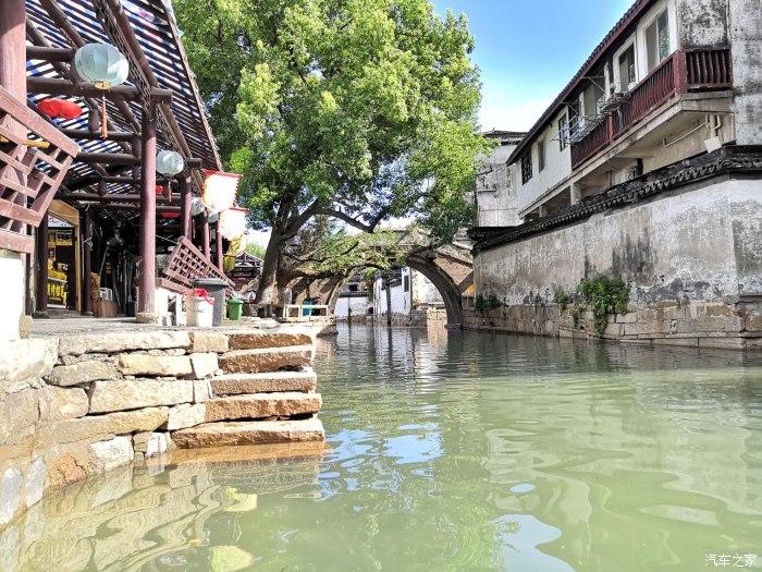 临高：柚子产业带动村民增收