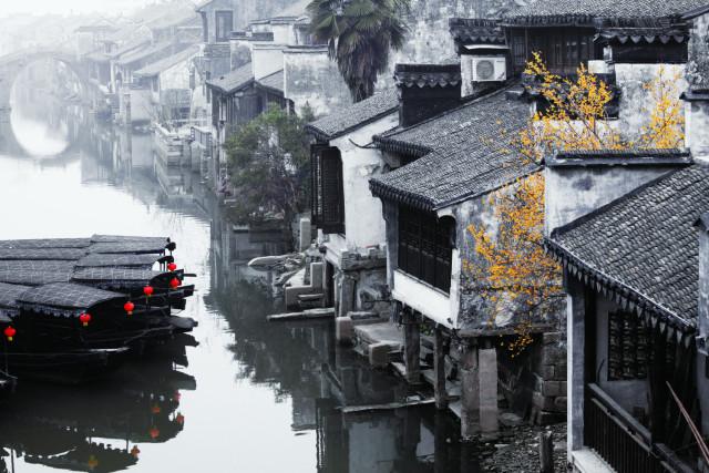 厉害了我的巧虎6