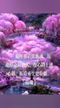 月光影视